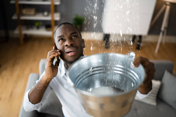 Best Local water damage restoration  in Thomaston, NY