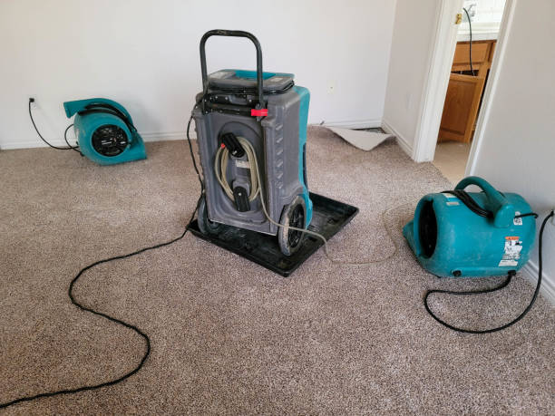 Best Fire Damage Restoration  in Thomaston, NY