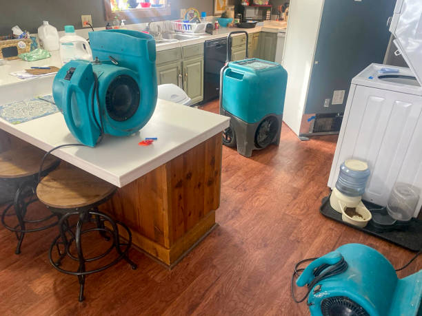 Water damage restoration insurance claims in Thomaston, NY