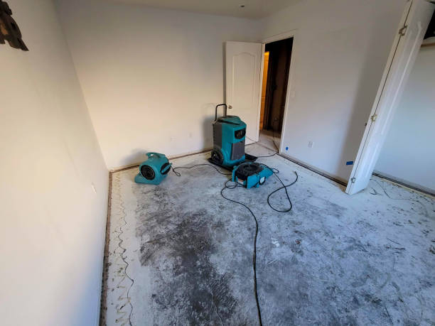 Best Flooded house restoration  in Thomaston, NY
