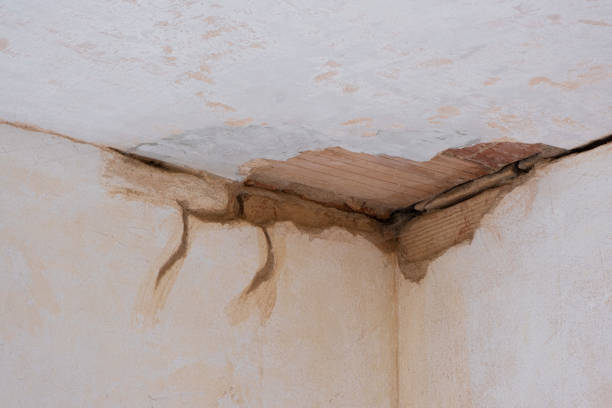 Best Residential water damage restoration  in Thomaston, NY