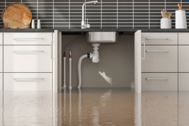 Best Water damage restoration insurance claims  in Thomaston, NY