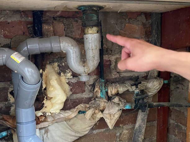 Best Mold removal after water damage  in Thomaston, NY